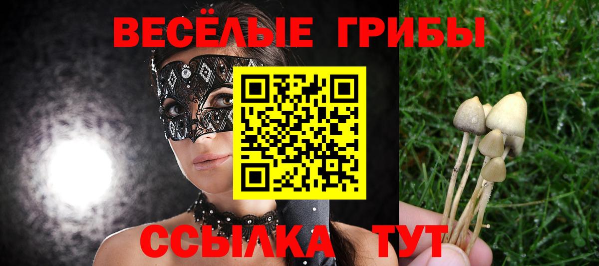 Галлюциногенные грибы Cubensis Дзержинск
