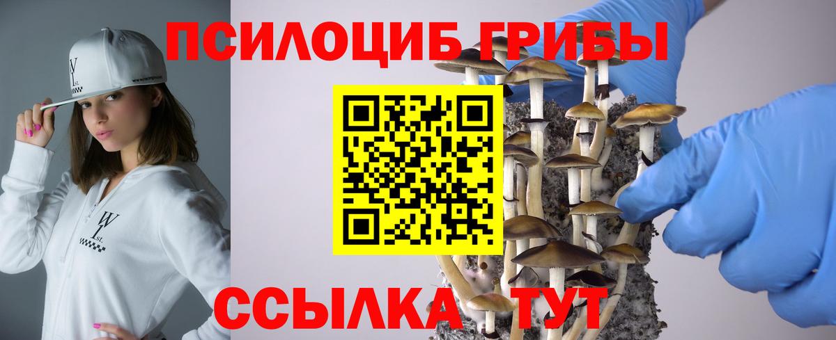 Галлюциногенные грибы Magic Shrooms  Вход с VPN  Дзержинск  Галлюциногенные грибы GOLDEN TEACHER 